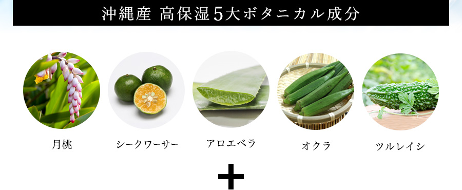 沖縄産高保湿5大ボタニカル成分