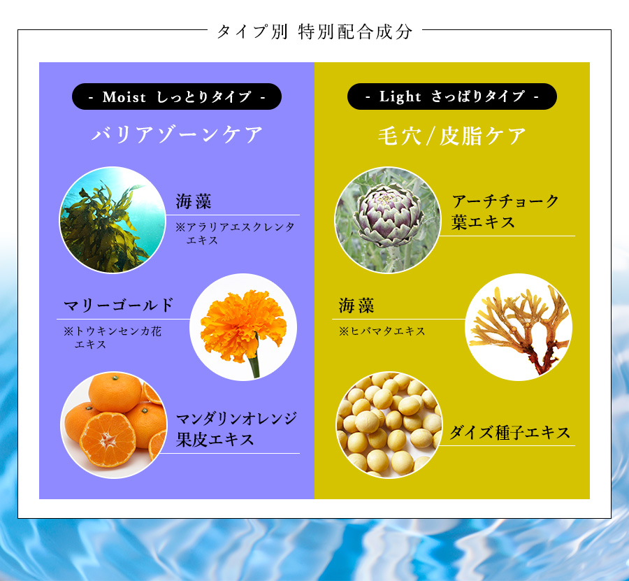 タイプ別特別配合成分