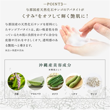薬用ホワイトボディソープ パウチ(ホワイトリリーの香り) 詳細画像