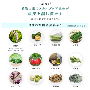 SuiRichAroma ヘッドスパ バブルスパークリング マッサージフォーム 詳細画像
