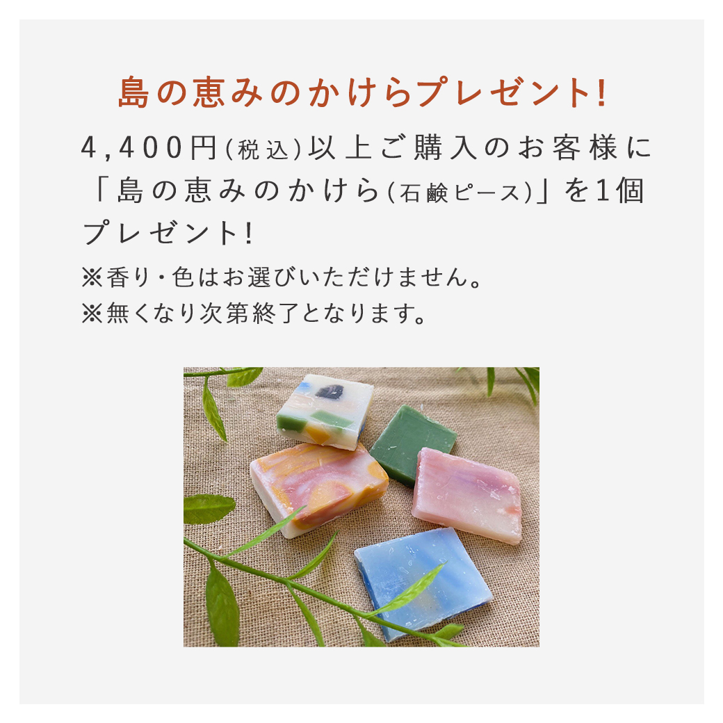特典2：島の恵みのかけらプレゼント